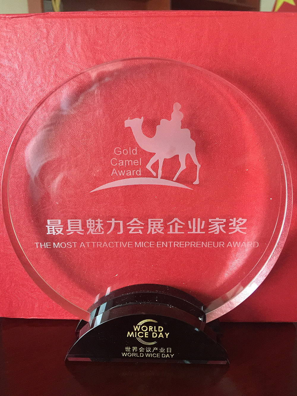 2017World MICE Day最具魅力會(huì)展企業(yè)家獎(jiǎng)
